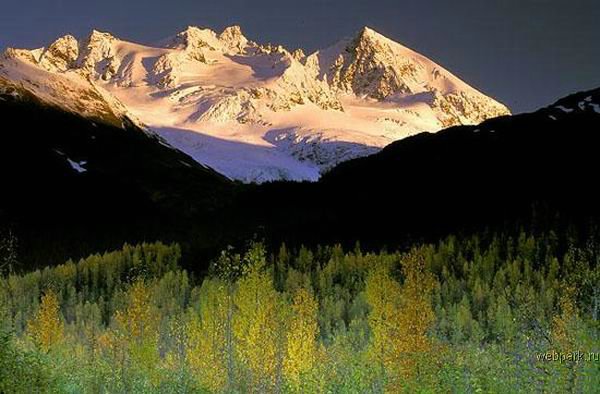 alpi_22.jpg