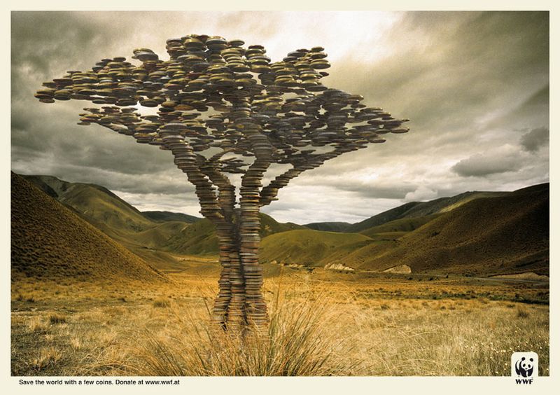 wwf_021.jpg