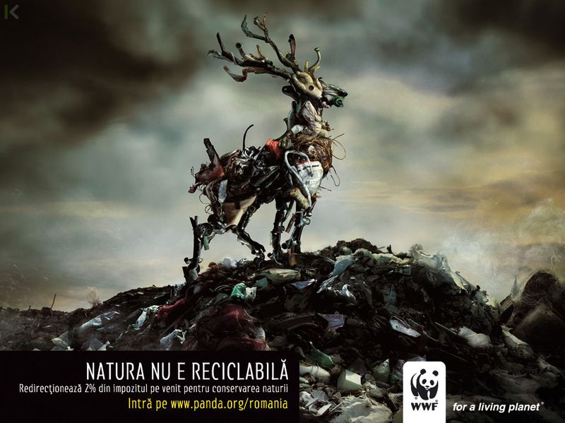 wwf_032.jpg