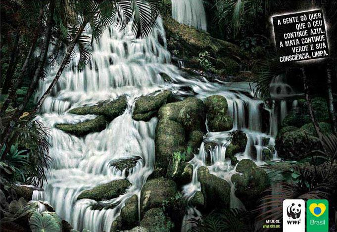 wwf_001.jpg