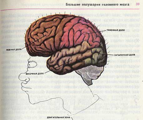 biologic_7.jpg