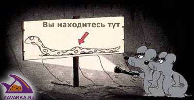 Змейка.jpg
