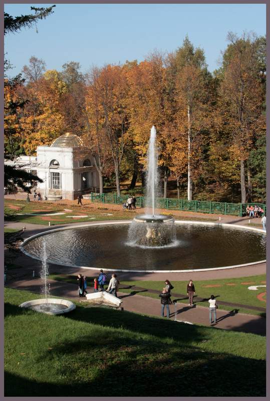 _MG_8867.JPG