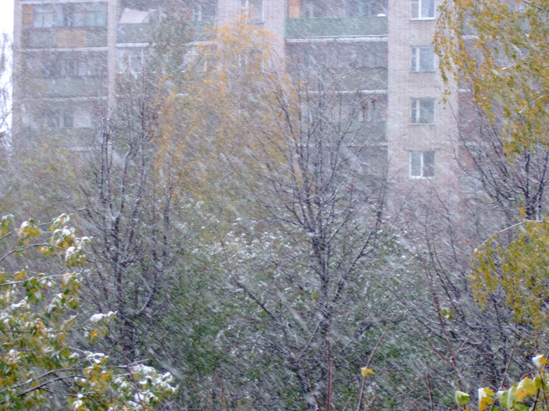 Снег.jpg