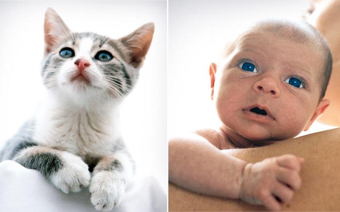 childs_07.jpg