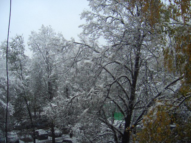За окном 008.jpg
