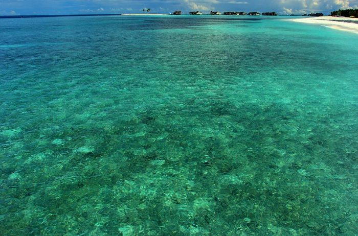 maldivi_5.jpg