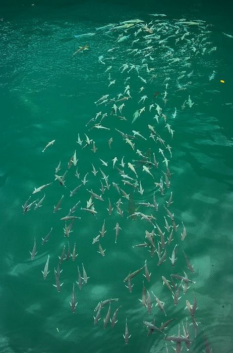 maldivi_12.jpg