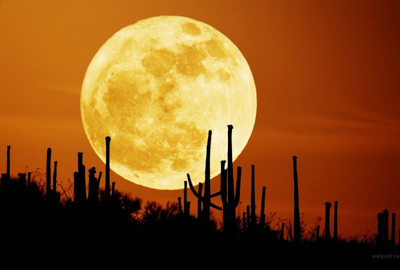 astro_photo_7.jpg