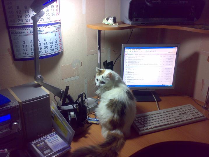 21102007053.jpg