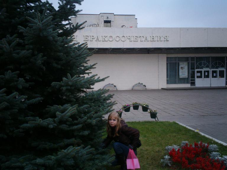 в елках.JPG