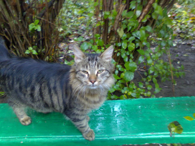 DSC01005.JPG