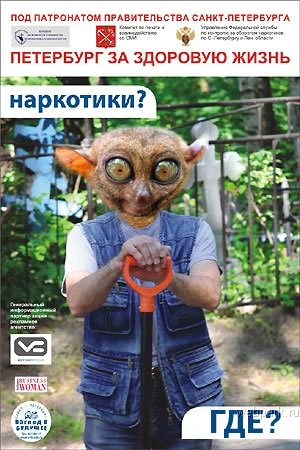 07.jpg