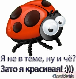 7023183_1194004757_6564201_2808082_YA_krasivaya.jpg