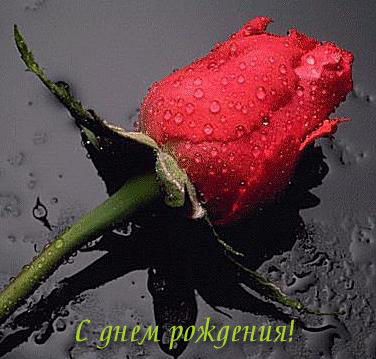 492_1192910569.jpg