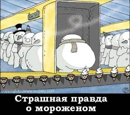 x_1251f06f.jpg