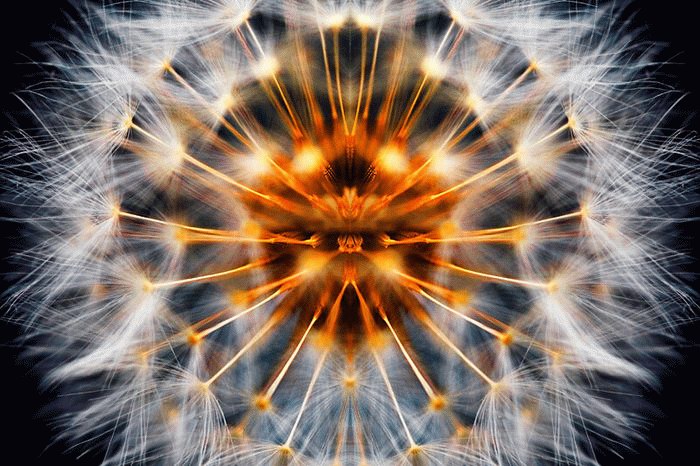 06_podborka_34.jpg