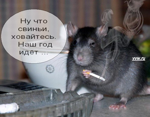 01.jpg