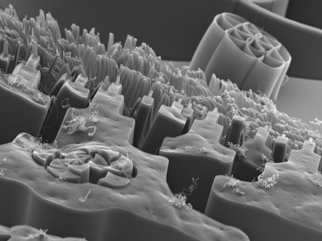 nano_tech_1.jpg