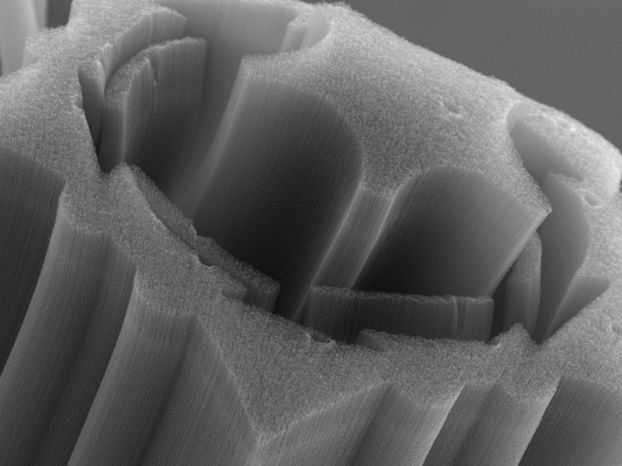 nano_tech_4.jpg