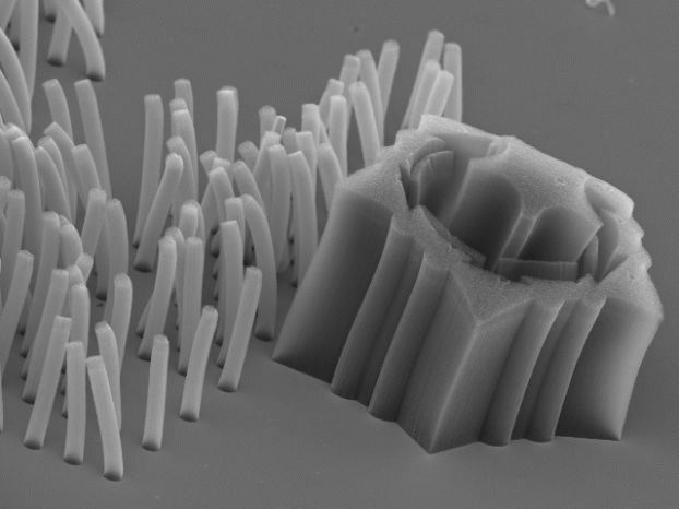 nano_tech_7.jpg