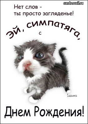 22080010_Den_rozhdeniya.jpg