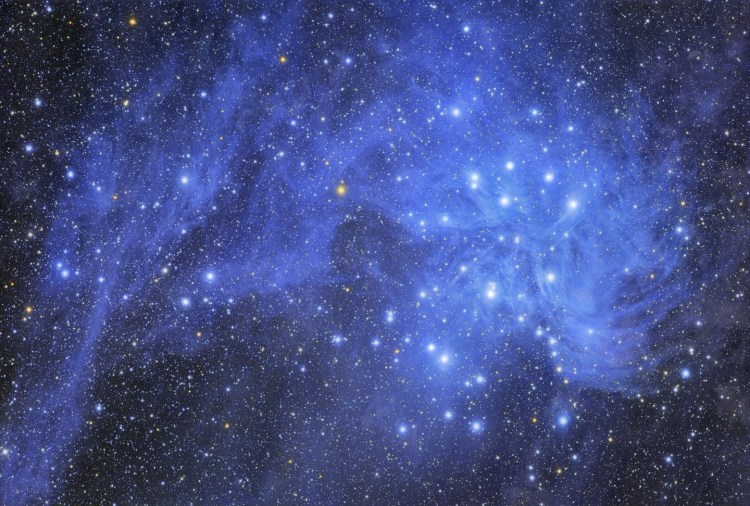 mid_m45wf_hallas_r.jpg