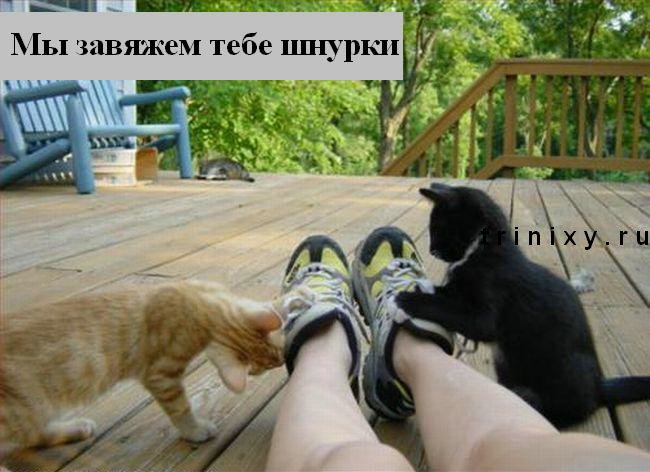 орплорпл.jpg