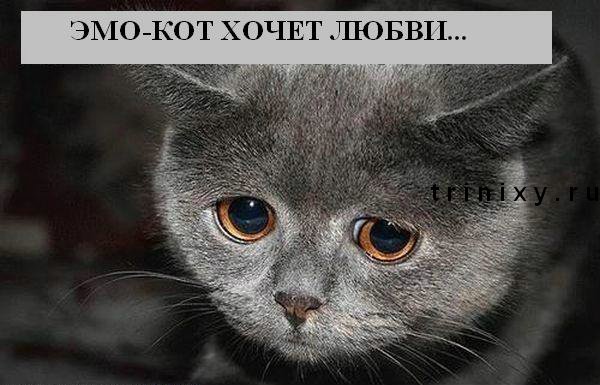 тисптп.jpg