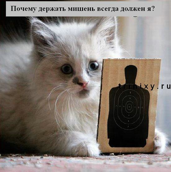оирьбир.jpg