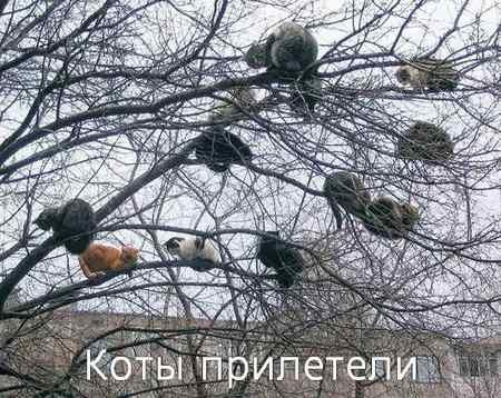 x_52104344.jpg