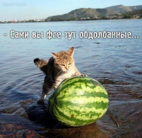 x_41a08b6e.jpg