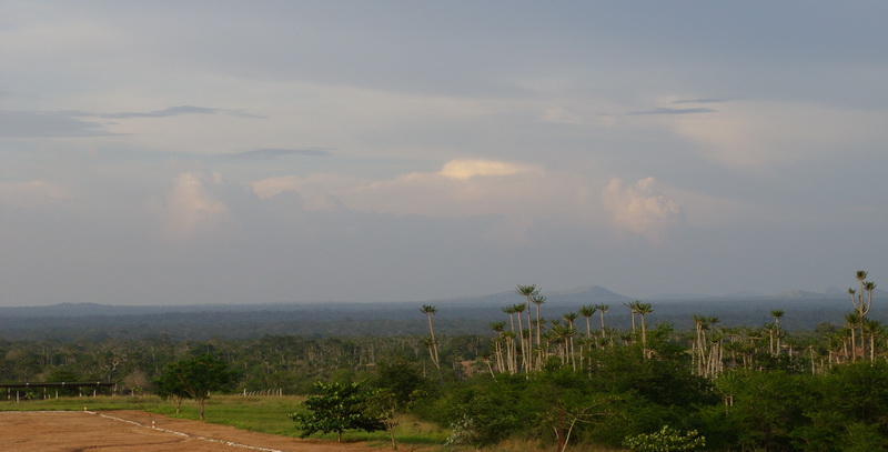 Caxito, Angola, 2008