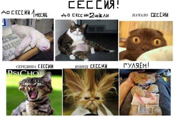 sessiya.jpg