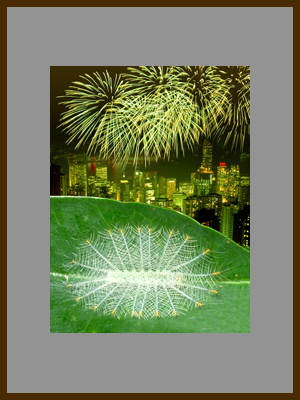 Гусеница и салют.jpg