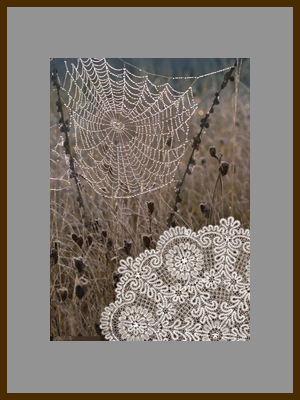 Кружева 1.jpg