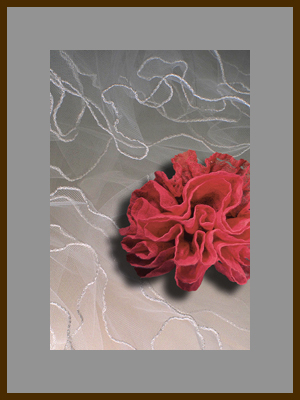 Кружева2 - Розовый объект - морское сидячее животное мшанка.jpg