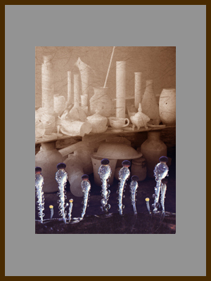 Баночки и бутылочки - Спорангии гриба.jpg