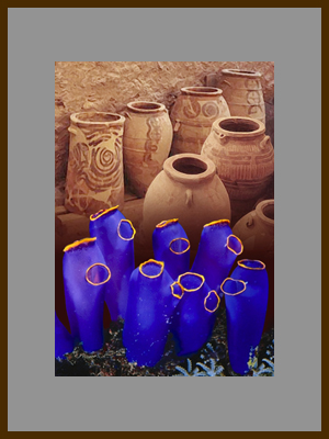 Вазы и горшки - Морские сидячие животные асцидии.jpg