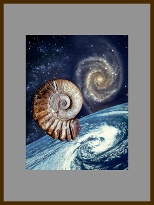Вечные спирали 3 - Спиральная галактика, раковина аммонита, вид циклона из космоса.jpg