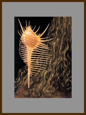 Гребень Венеры.jpg