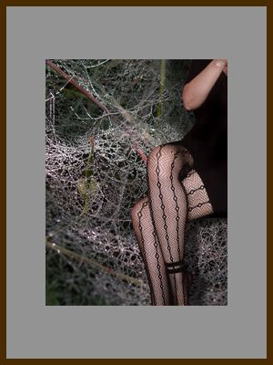 Ловчие сети 1 - Сети для ума.jpg