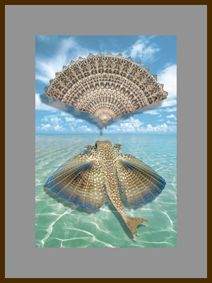 Рыба и веер 2.jpg