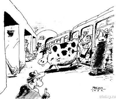 metro_03.jpg