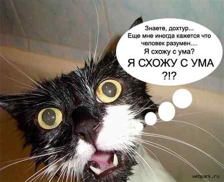 stopme_ru_58_0_20070117_11633_8.jpg