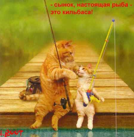 stopme_ru_58_0_20070115_11605_3.jpg