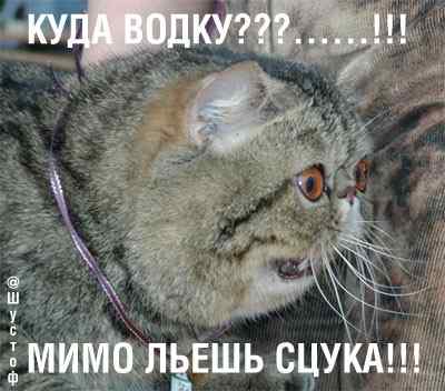 stopme_ru_58_0_20070109_11532_5.jpg