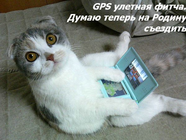 kotofej_13.jpg