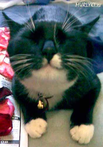 foto049_l.jpg