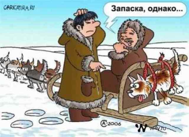 8d7b870d7a90.jpg